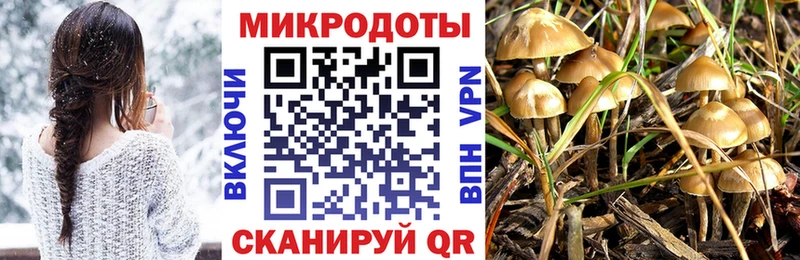 ссылка на мегу как зайти  Шарыпово  Галлюциногенные грибы мухоморы 