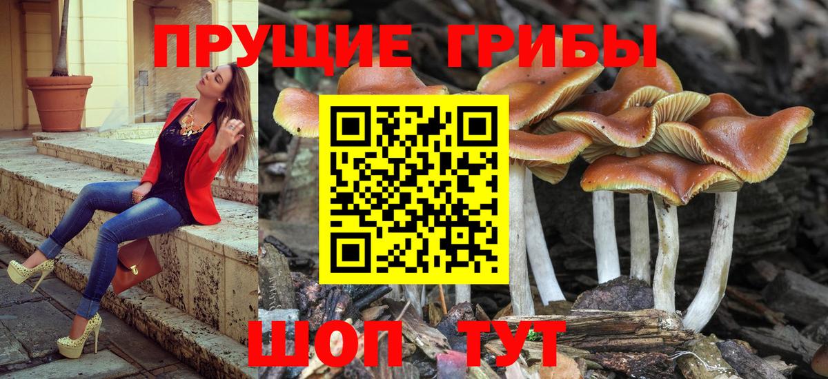 Шарыпово  Галлюциногенные грибы мицелий  где купить наркотик  Вход с VPN  Галлюциногенные грибы мицелий 