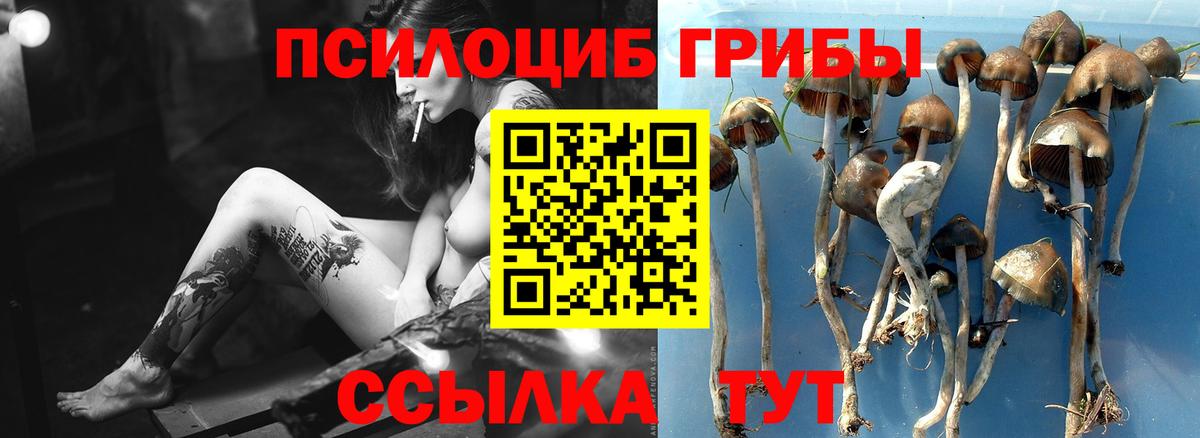 Галлюциногенные грибы прущие грибы Шарыпово
